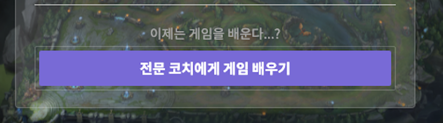 서비스 유입 버튼